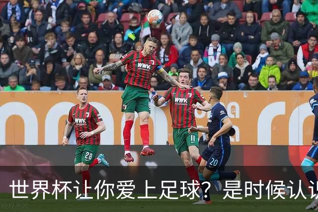 世界杯让你爱上足球？是时候认识这支全球第二的会员制俱乐部了