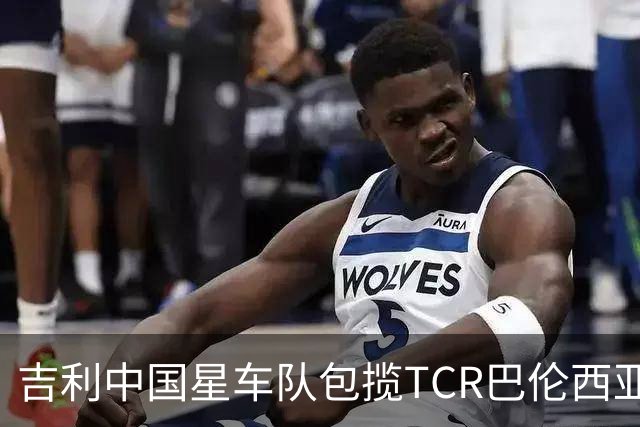 吉利中国星车队包揽TCR巴伦西亚站三回合冠军