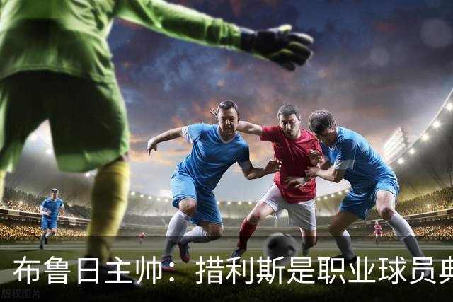 布鲁日主帅：措利斯是职业球员典范，每天第一个来训练最晚走