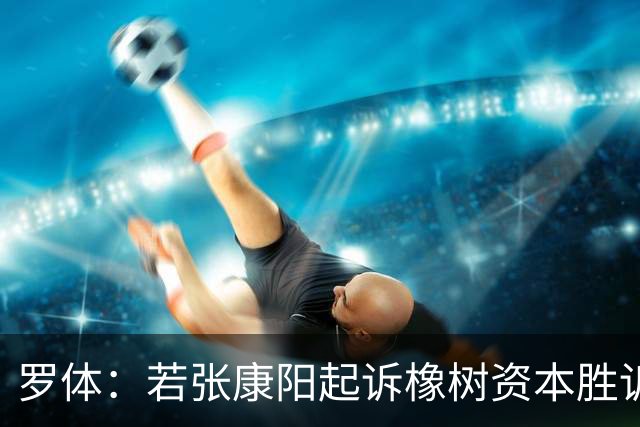 罗体：若张康阳起诉橡树资本胜诉，最高索赔金额可达4.5亿欧